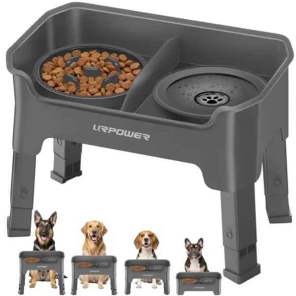Mess Proof Elevated Dog Bowls