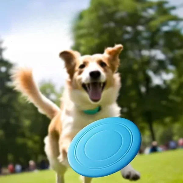 Pet Frisbee toy, Frisbee