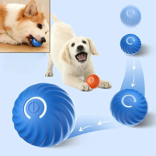 Dog Toy Ball Automatic