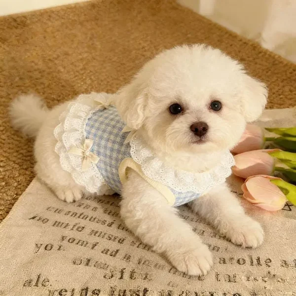 Summer Pet Lace Skirt Lightweight